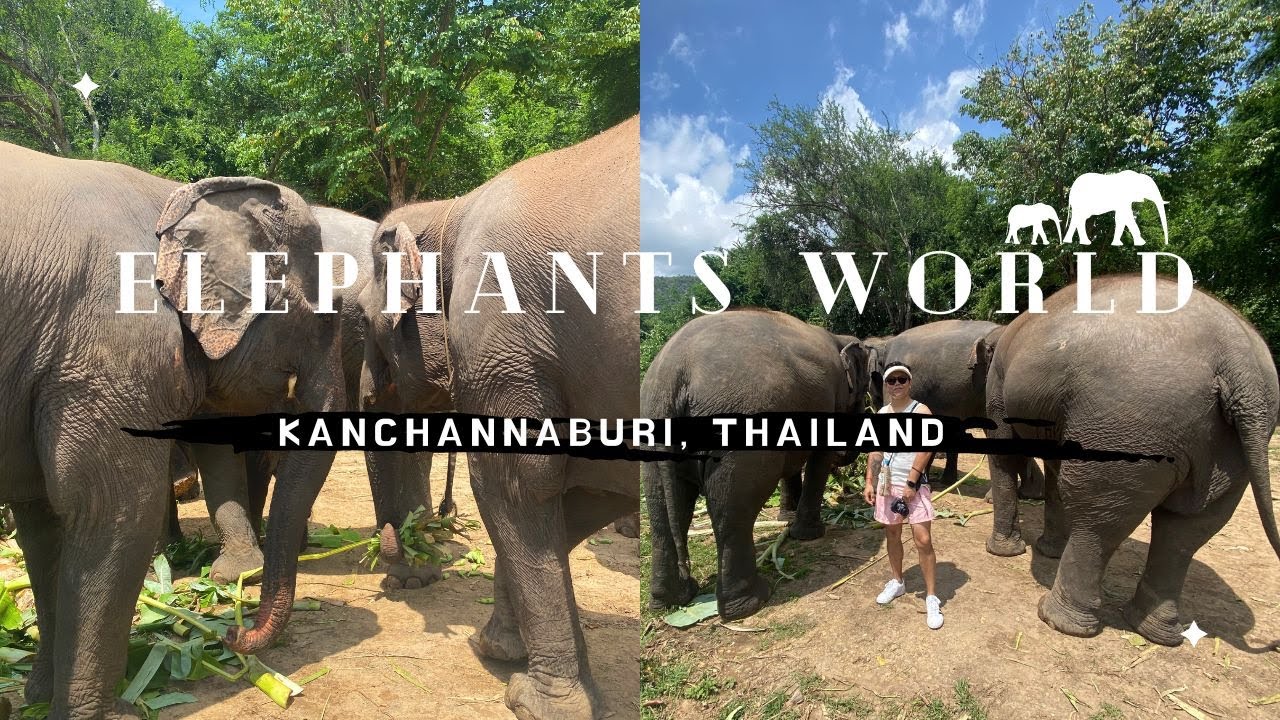 Explore Kanchanaburi Elephant World - Thailand Series Episode - 5