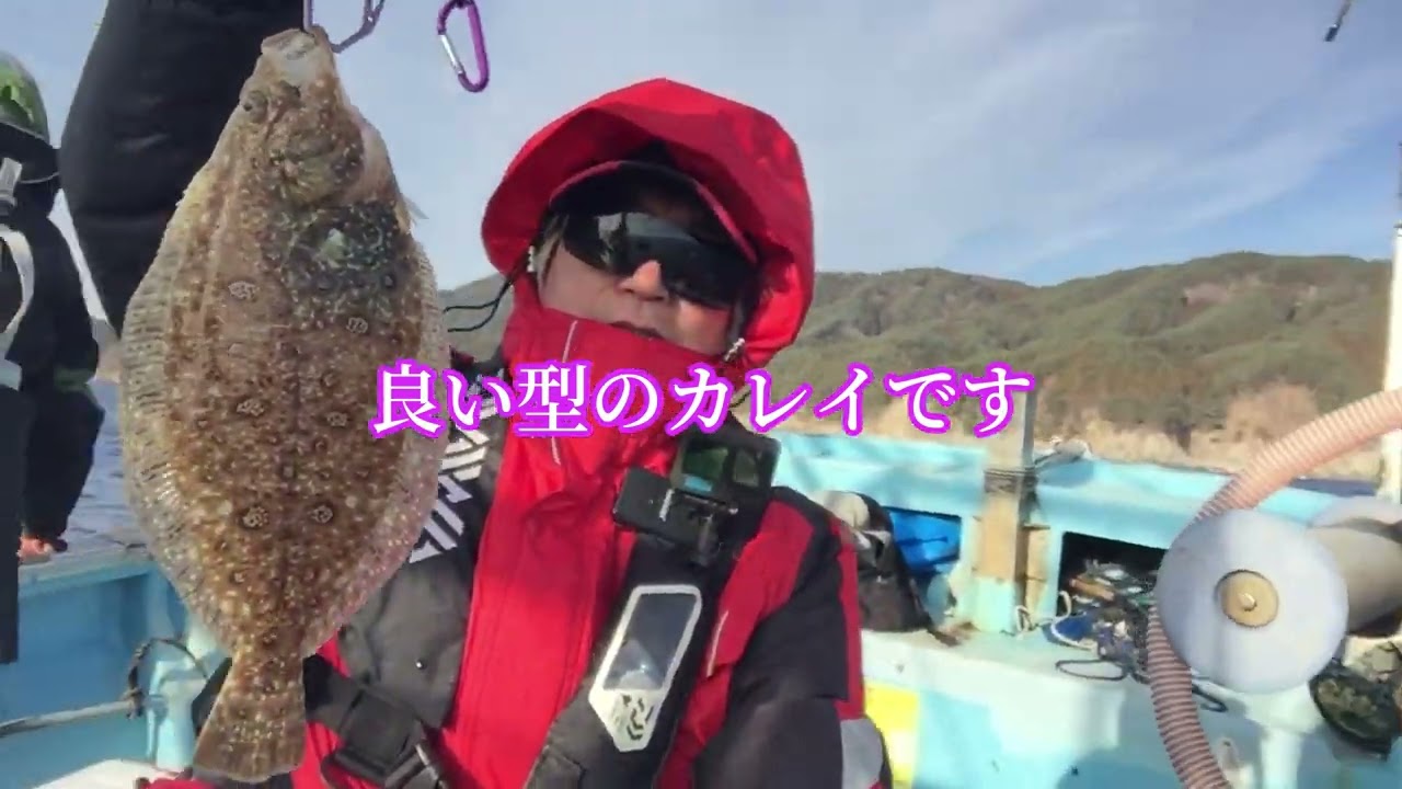 ２０２４年初船釣り。またまた、こんなに釣れていいの！！＃２０２４年＃船釣り＃カレイ＃ヒガレイ＃タコ＃大物＃三陸＃大船渡
