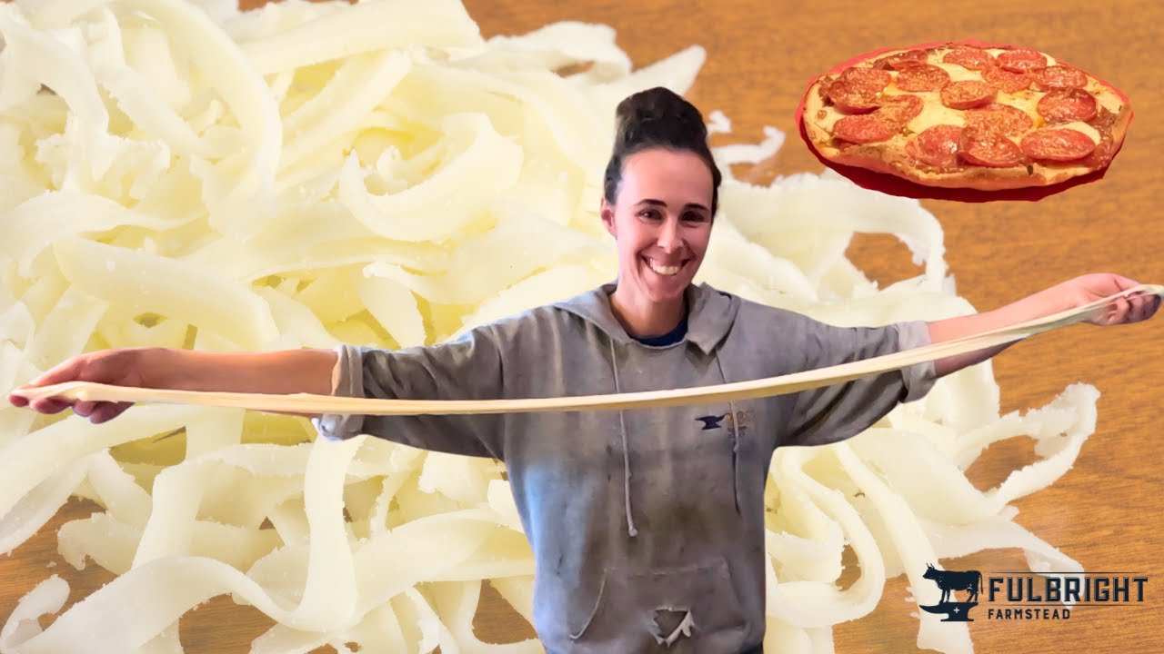 How to Make Quick Mozzarella With Skim Raw Cow's Milk | Homemade Cheese Recipe