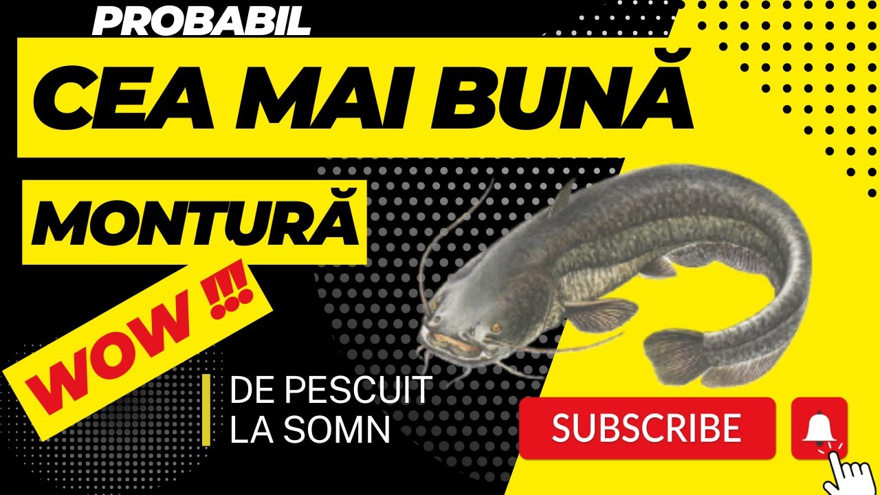 CEA MAI BUNA MONTURA DE PESCUIT LA SOMN !!!