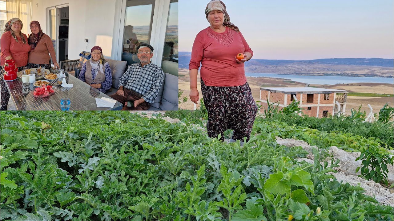 MİSAFİRLERİMİZ GELDİ GÜZEL SOHBETLER VE BAHÇE TURUMUZ