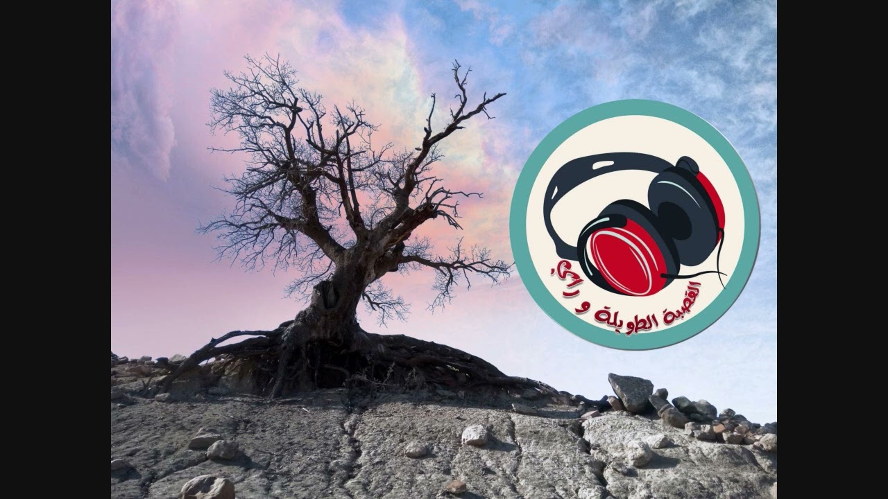cheikh mamou hbibet galbi