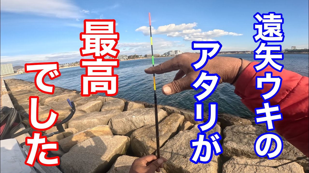 棒ウキが沈む！アタリの瞬間①【チヌフカセ釣り】#遠矢ウキ三部作