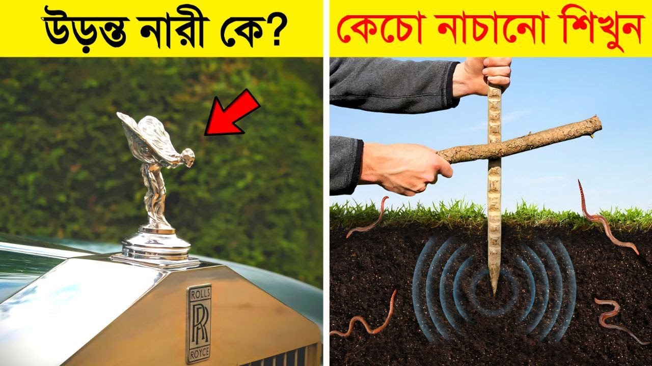 দৈনন্দিন জিনিসের গোপন তথ্য যা আপনি জানেন না | Interesting facts you didn't know | 10 amazing facts