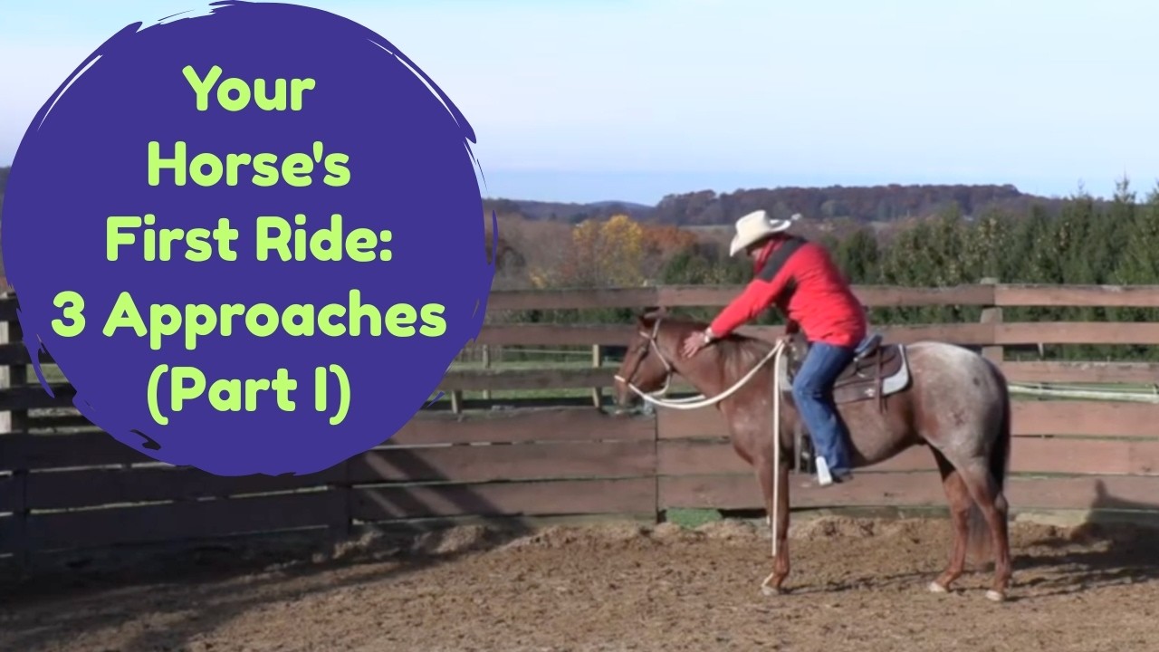 Your Horse's First Ride:  3 Approaches (Part I) (Episode 295) - Herm Gailey: A Lifetime with Horses