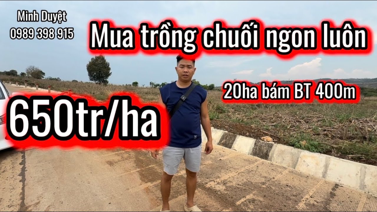 Lô 209| đất rẻ DaK Nông 20ha 650tr/ha bám BT 400m. 