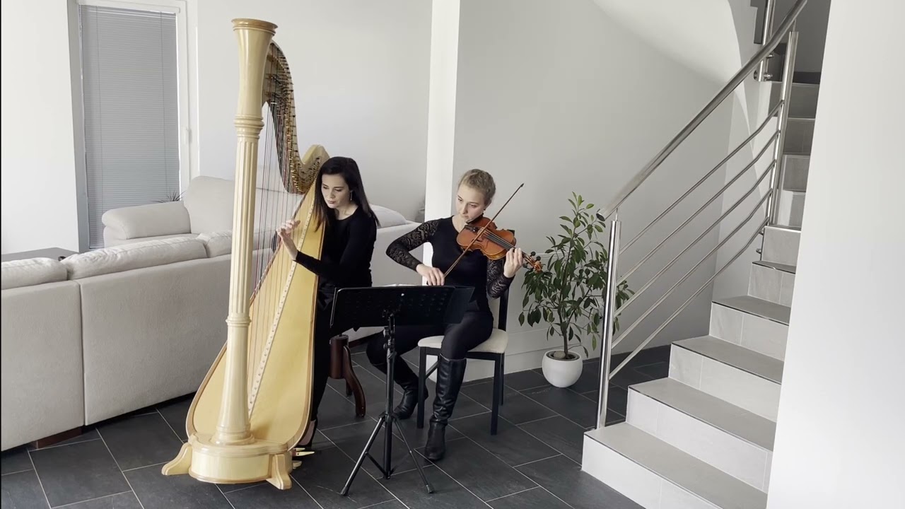 Marry You (Bruno Mars) - Simona Voříšková harpist (harp & violin cover)