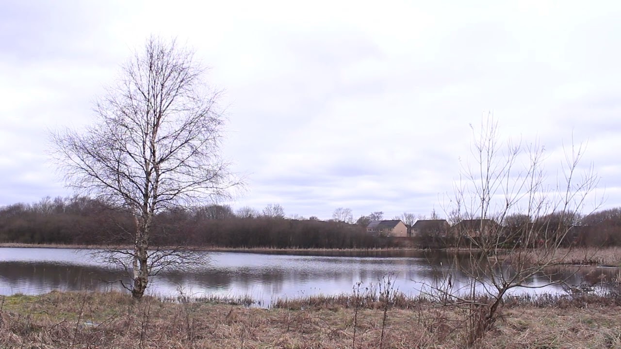 Frankfield Loch View - Glasgow, Scotland