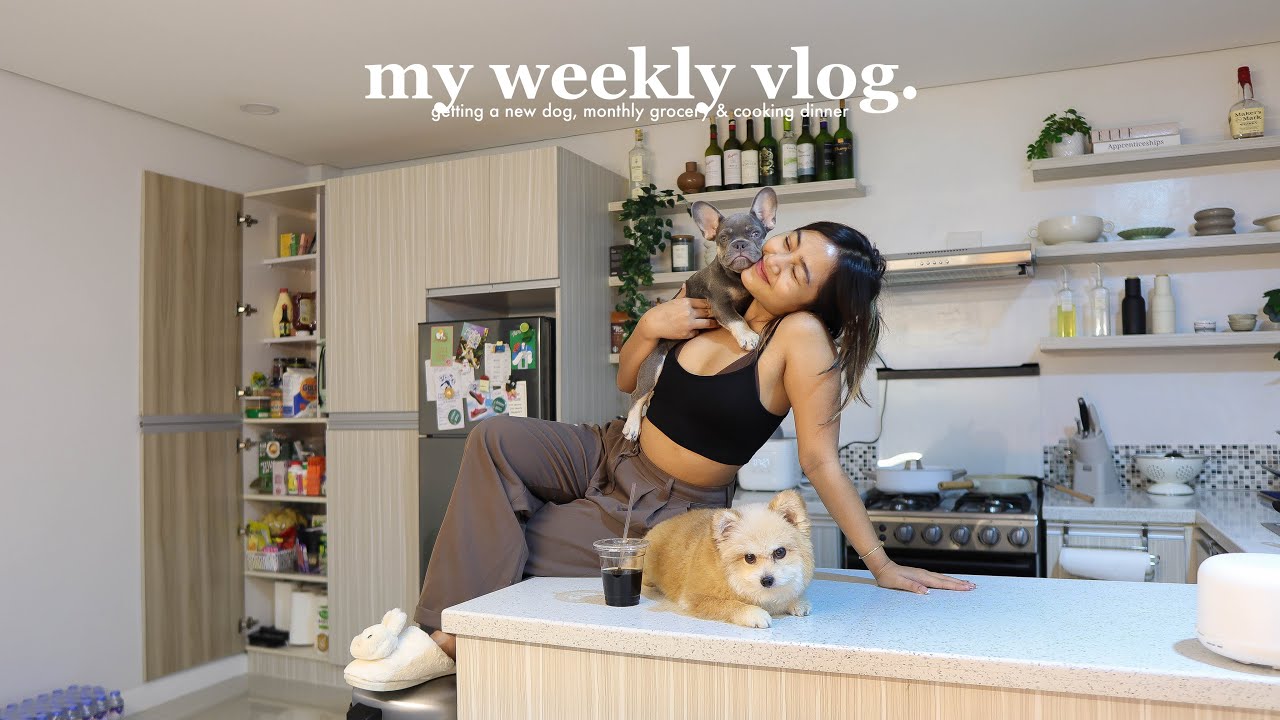 VLOG • Заводим новую собаку, покупаем продукты на месяц (в SnR) и пополняем набор средств гигиены 🍇🐶