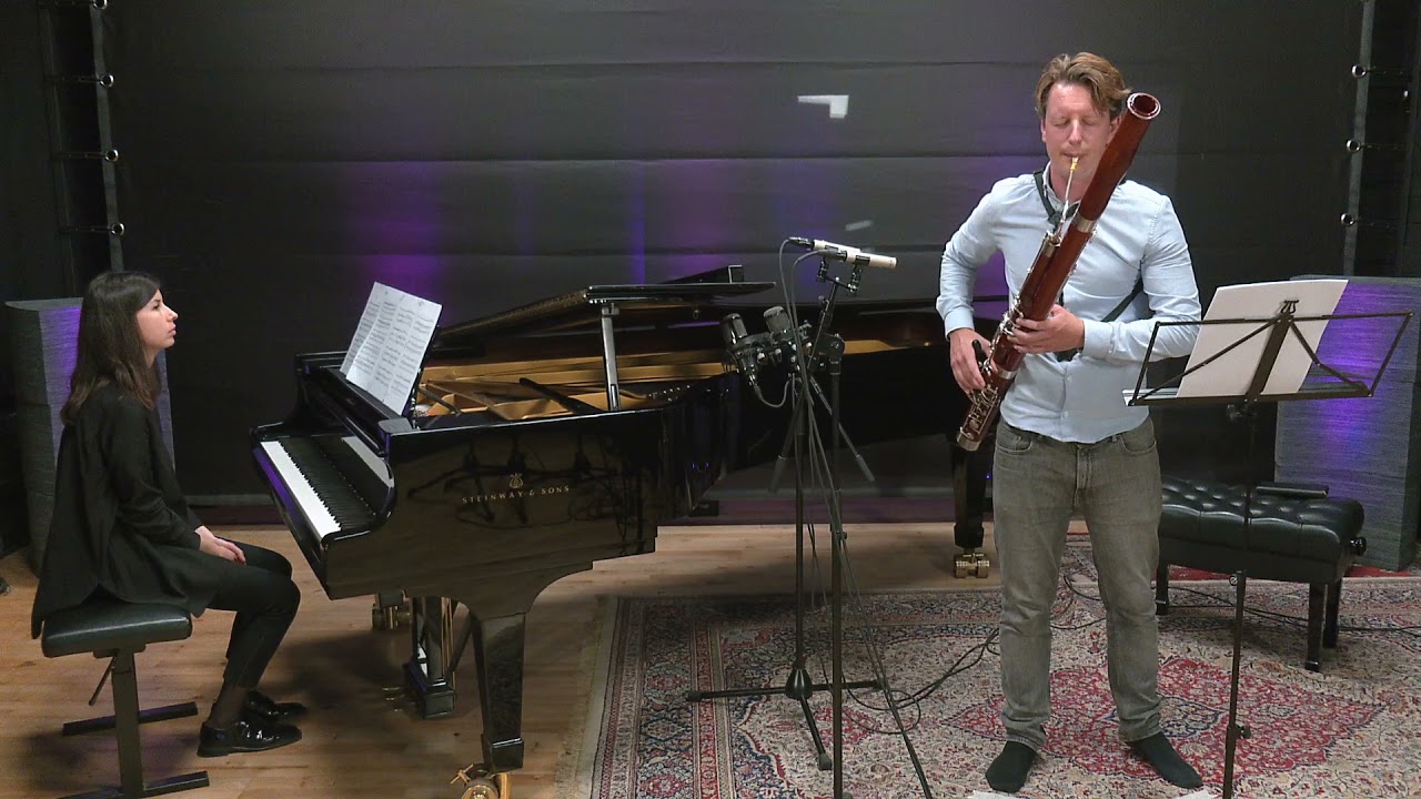 Mozart Bassoon Concerto 1 st movement audition version plus orchestral excerpts