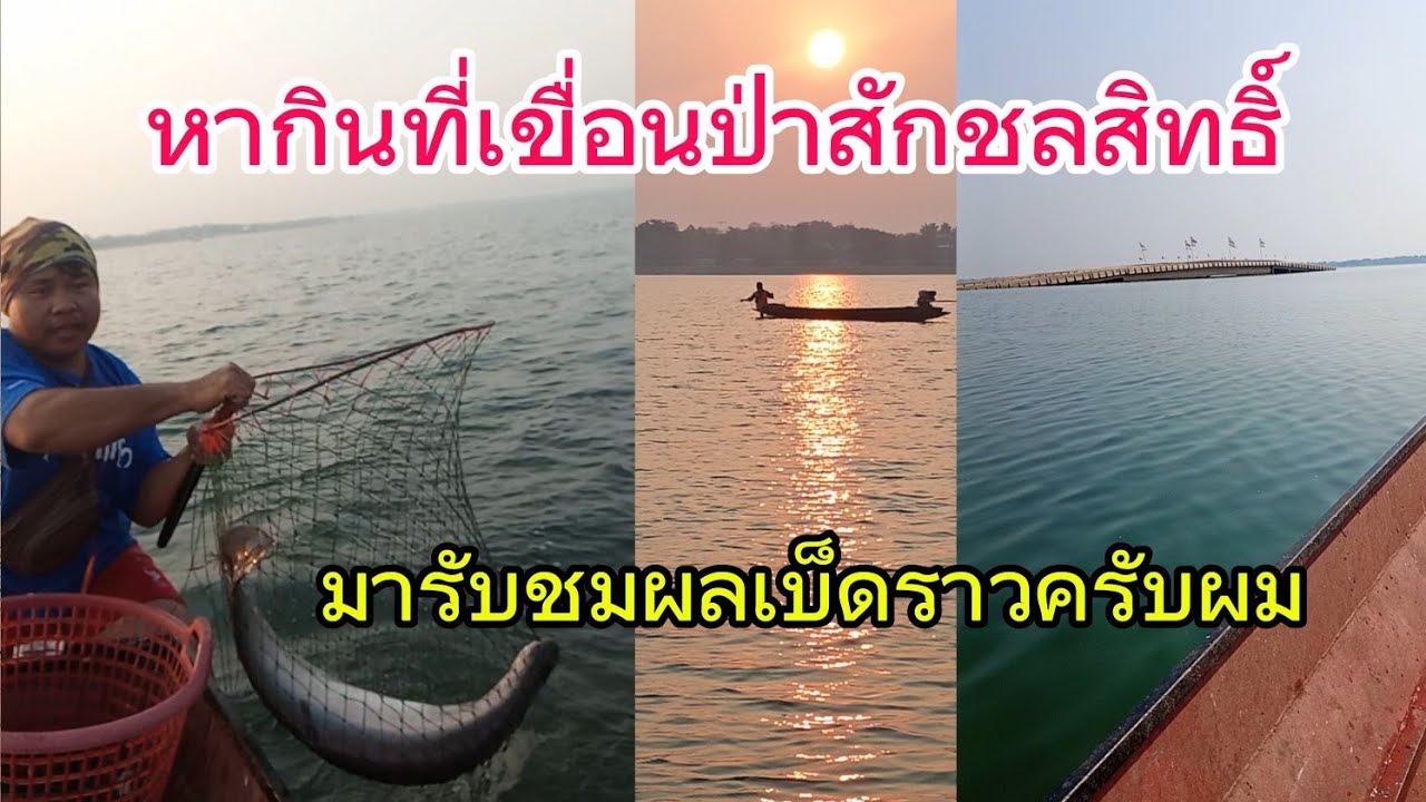 เก็บเป็นราวลงเบ็ดราวเหยื่อปลาซิวแก้วครับผม หากินที่เขื่อนป่าสักชลสิทธิ์