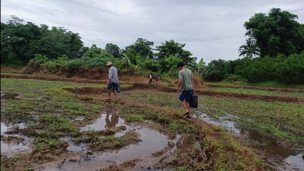 Provincial Life Unfiltered: Our Daily Struggles and Happy Moments