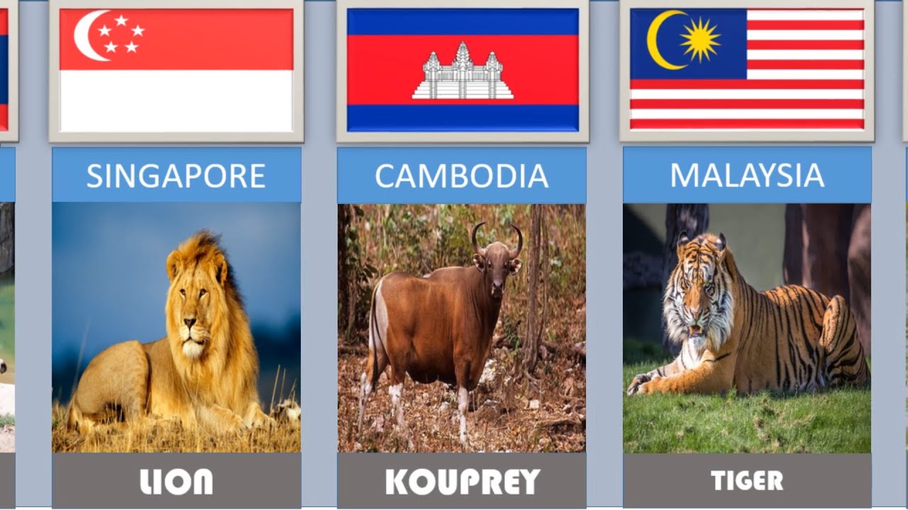 NATIONAL ANIMAL FOR EVERY COUNTRIES IN SOUTHEAST ASIA OR ASEAN