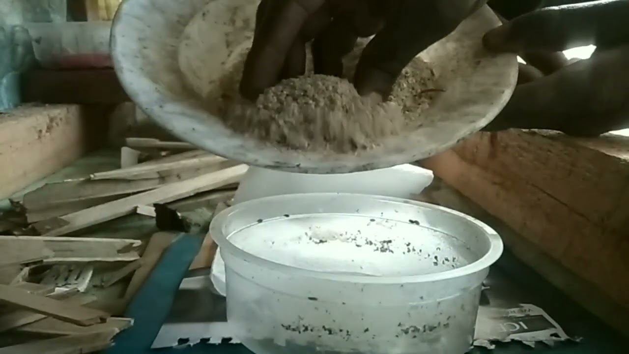 Important hacks when incubating black soldier fly eggs.