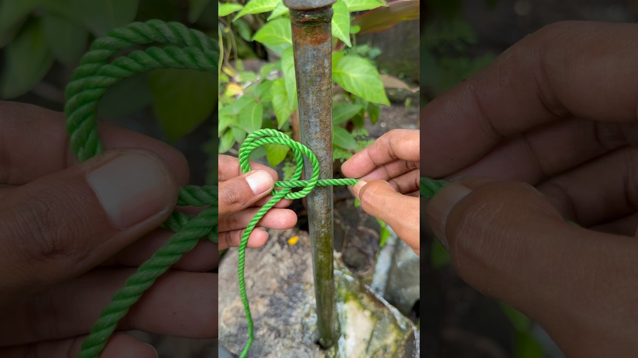 WOW. I Really Trust This Knot - Easy, Practical and Reliable! #knot
