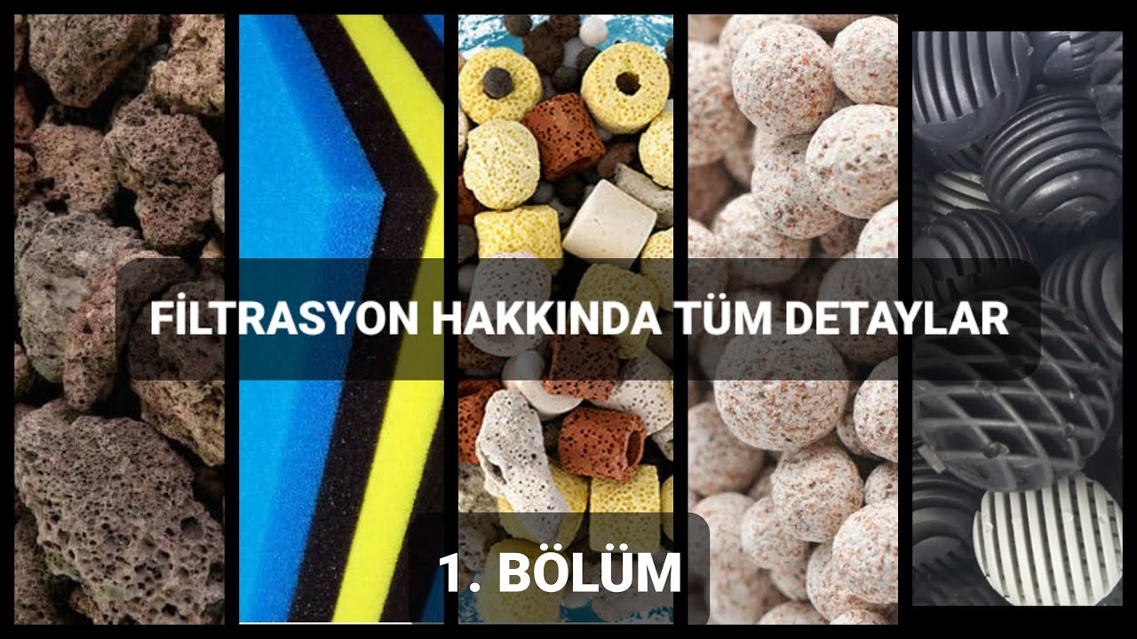 Akvaryumda Filtre Kurulumu ve Filtrasyon Malzemeleri