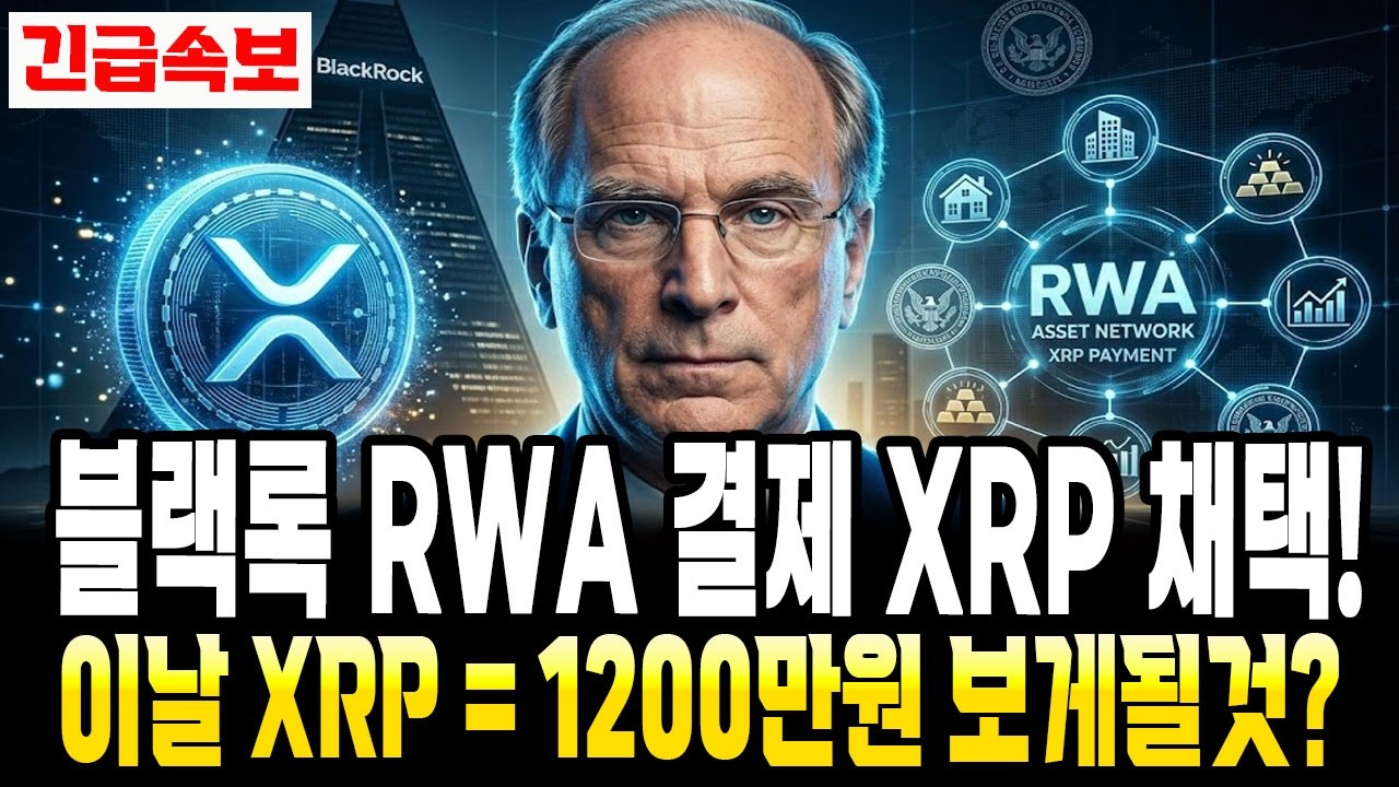 [리플 전망]긴급 블랙록 RWA 결제 XRP 채택!이날부터 XRP 1200만원 보게될것?
