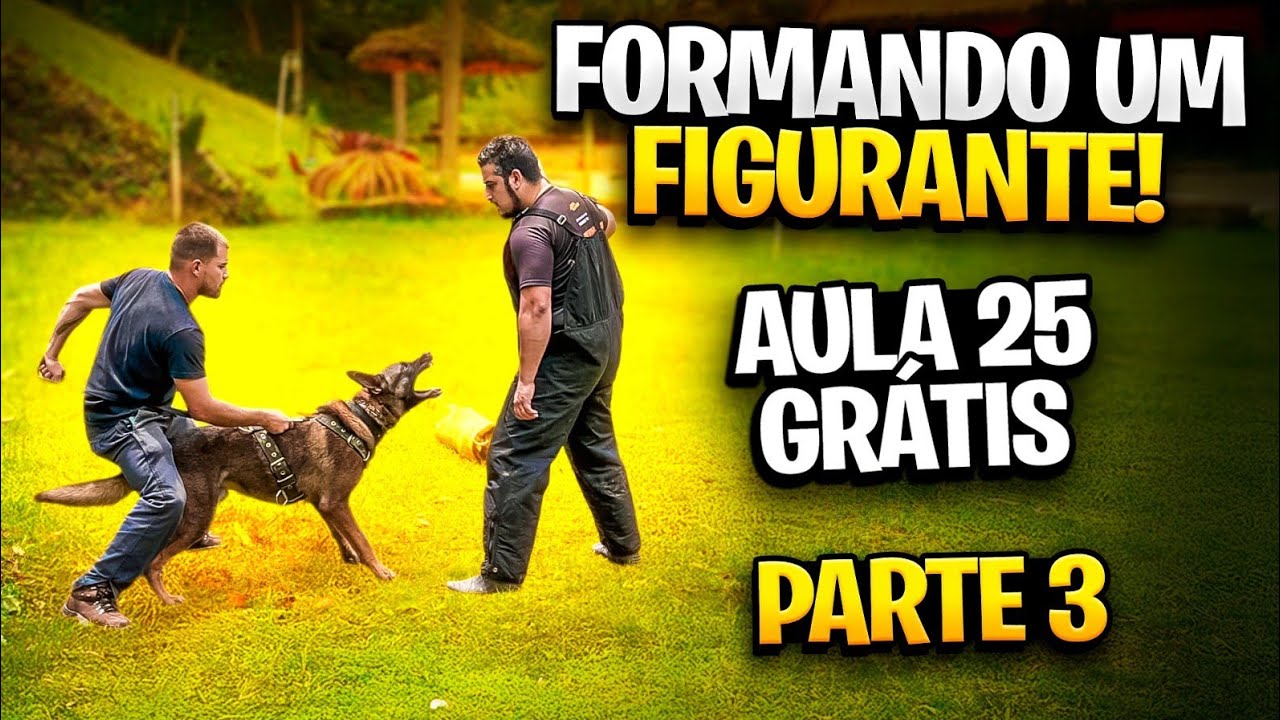 CURSO FIGURANTE DE CÃES DE PROTEÇÃO! [Parte 3]