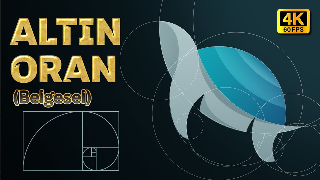 Allah'ın Doğada Yarattığı G&uuml;zellik &Ouml;l&ccedil;&uuml;s&uuml;: Altın Oran (Belgesel) I 4K