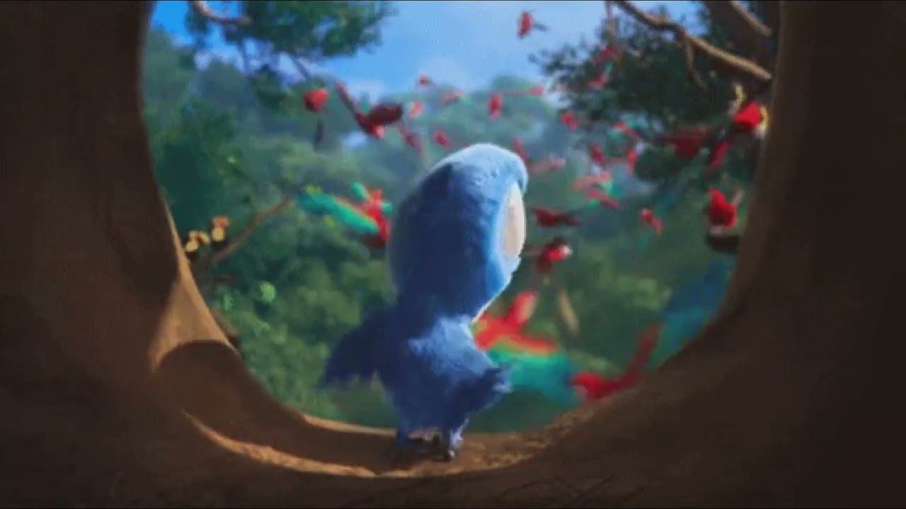 Real in Rio 🦜(super slowed) 🐦