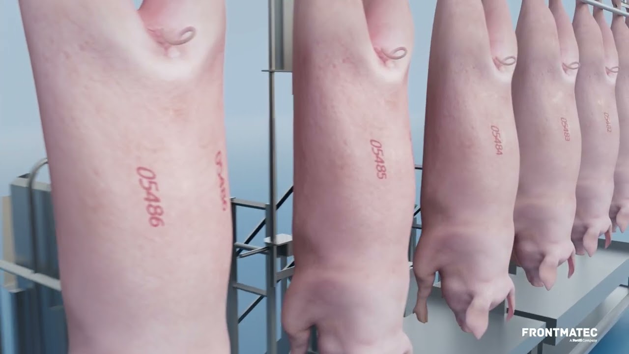 Frontmatec Group | Animation - Slaughtering: AutoFom, AutoMarker, Weighing and Chill