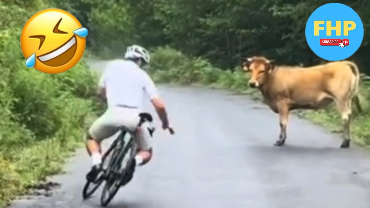 Try Not To Laugh 🤣 Top 100 Funniest Videos Ever 😂 | Funny Videos Compilation 2026 #34
