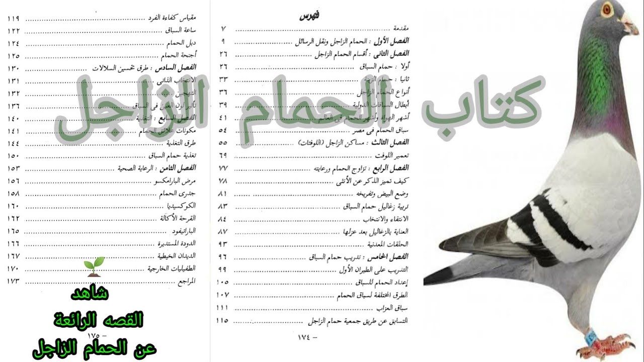 تحميل كتاب الحمام الزاجل PDFبرابط مباشر+قصه رائعه عن الحمام الزاجل 👆🏻The passenger pigeon book