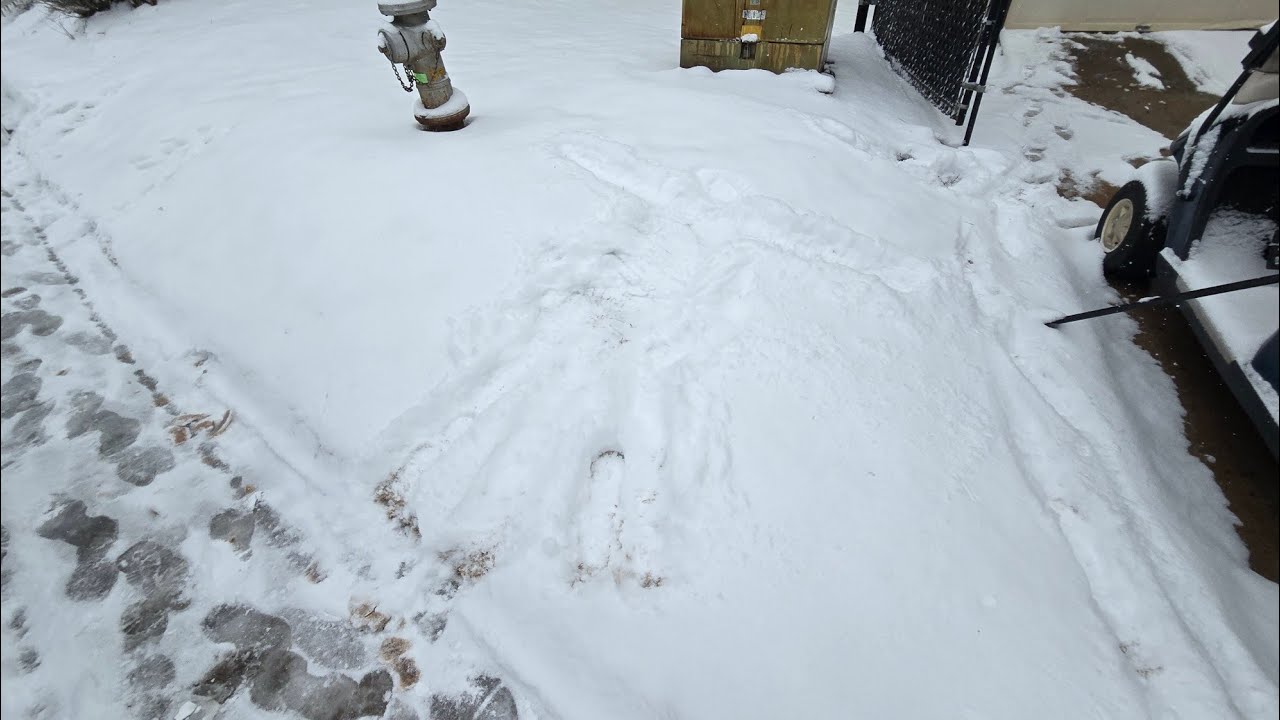 Snow Storm - Gainesville, GA | 01/31/26 // liminality. 