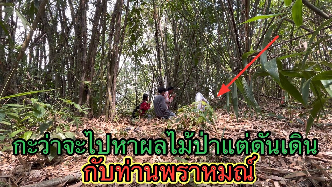 วันนี้จะเข้าไปหาผลไม้ป่าแต่ดันมีบุญได้ไปเจอกับท่าน พราหมณ์￼