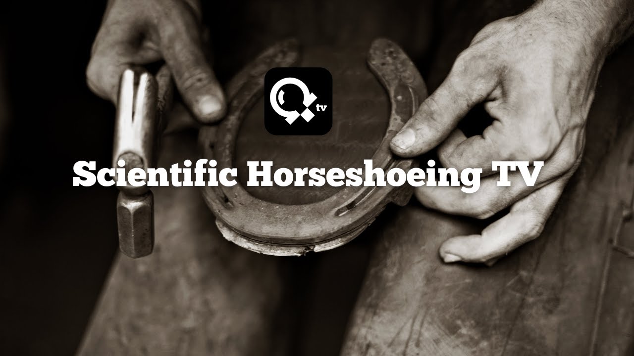Hoof Care Tips for Owners - Transitioning to Barefoot (part 1)   Dr. Mark Caldwell & Alex Ridgeway