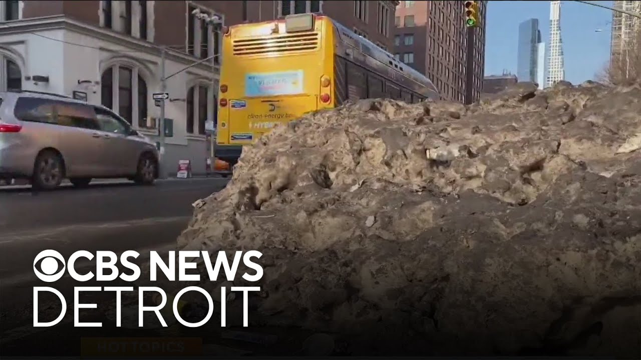 New York City sees spike in dog waste complaints after recent snowstorm
