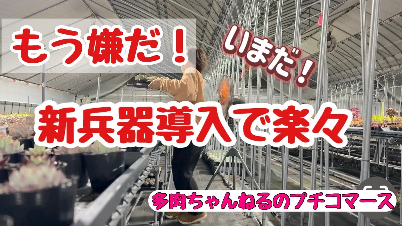 もう嫌だ‼️不便すぎるアレを新兵器で快適にしました😆2026年3月1日