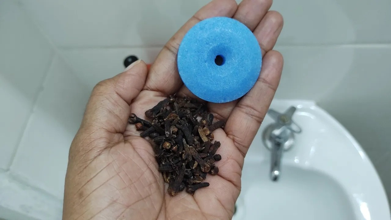 É SÓ MISTURAR CRAVO e PEDRA SANITÁRIA e ADEUS MAU CHEIRO