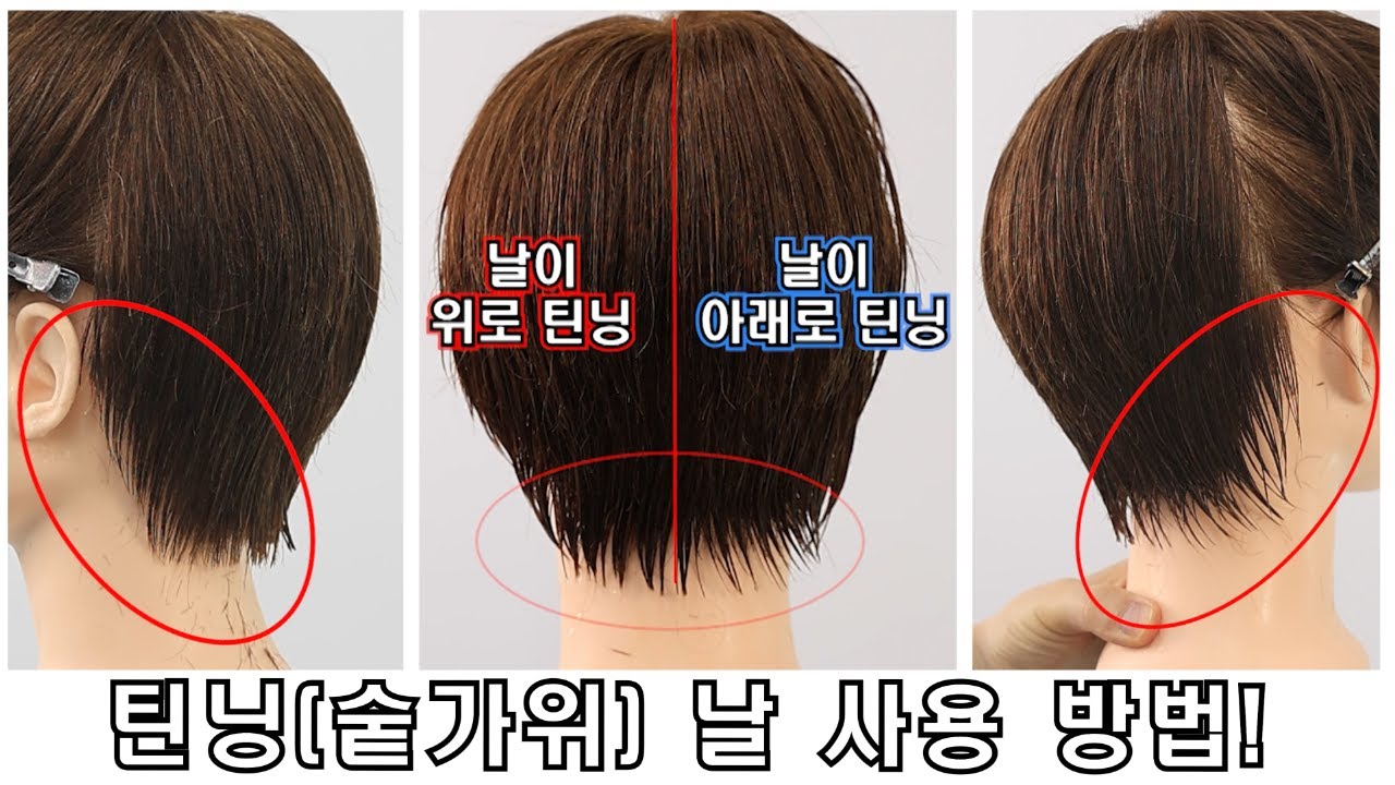 틴닝(숱가위) 날 사용 방법 #커트베이직 #커트교육 #헤어디자이너