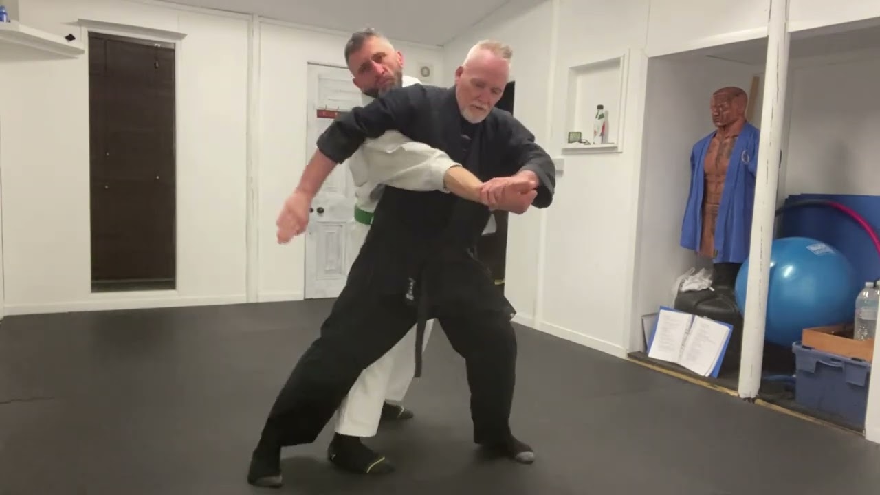 Straight Arm Locks - Japanese Jiu Jitsu Red Belt Syllabus