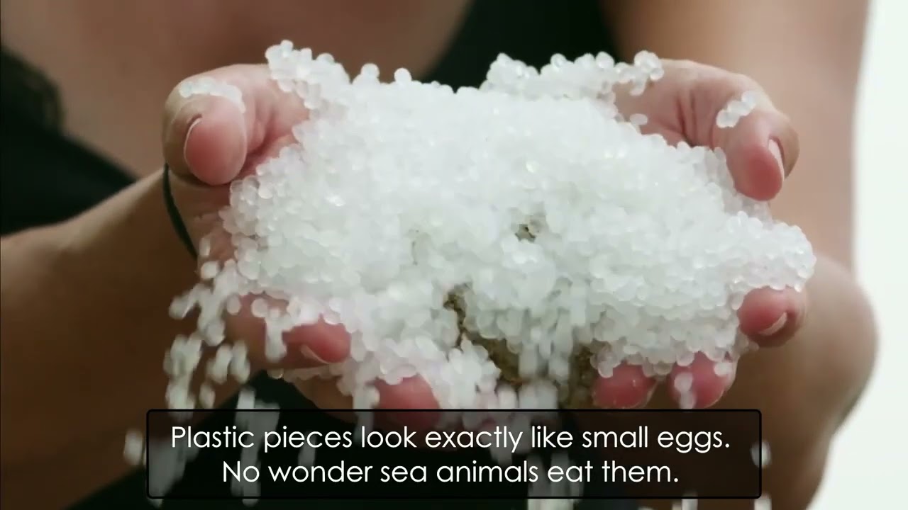 Plastic Ocean (Plastic Soup Foundation)