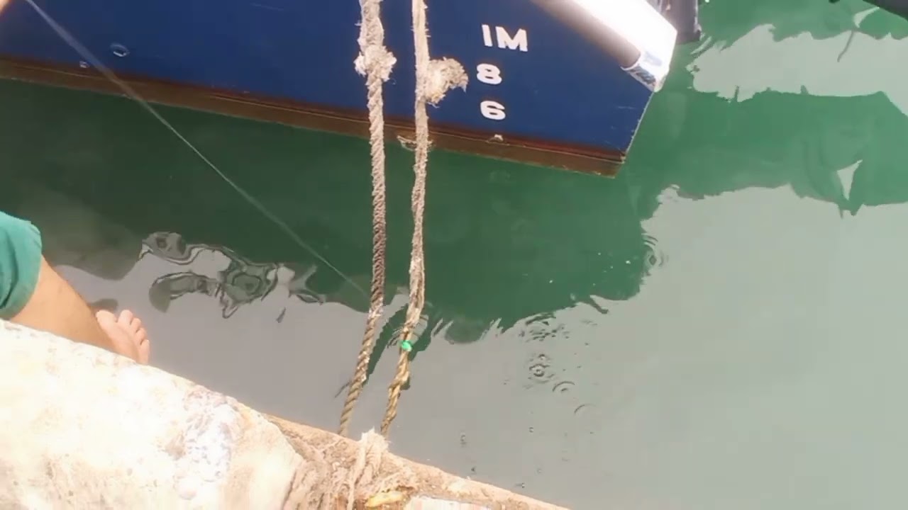mancing baronang di dermaga#ikanlaut#hobimancing#mancing#mancingikankarang#acehfishing#cesting