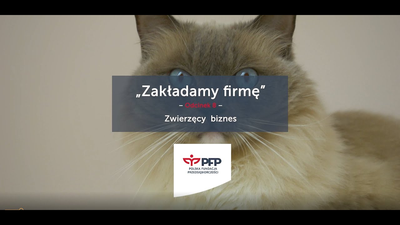 Zakładam własną firmę: Zwierzęta i biznes