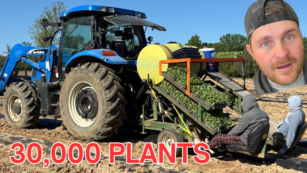 Planting 600,00 Watermelons: Day 1 Begins!
