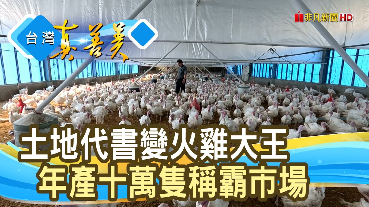 年產十萬隻的“火雞霸王”｜台雞店食品有限公司｜【台灣真善美】2024.09.22