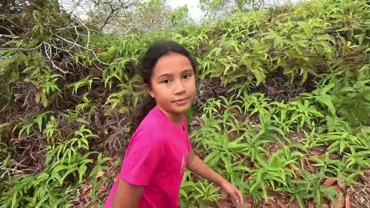 Nikao Hike