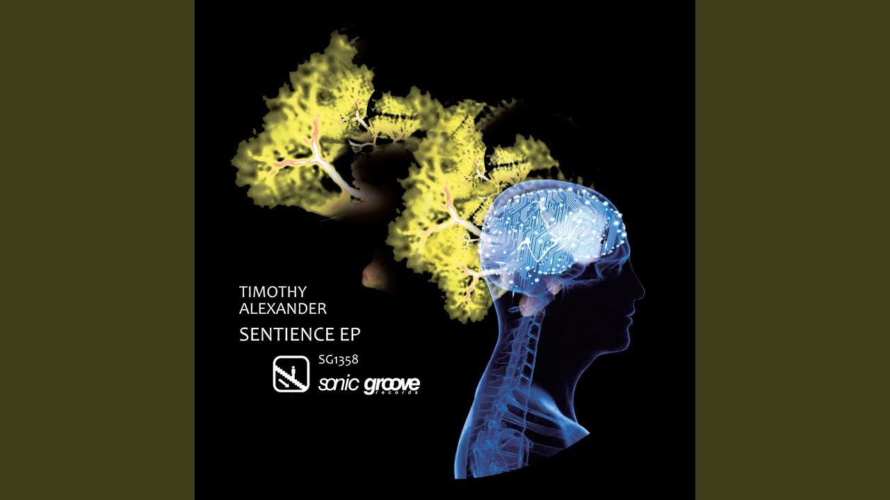 Sentience II