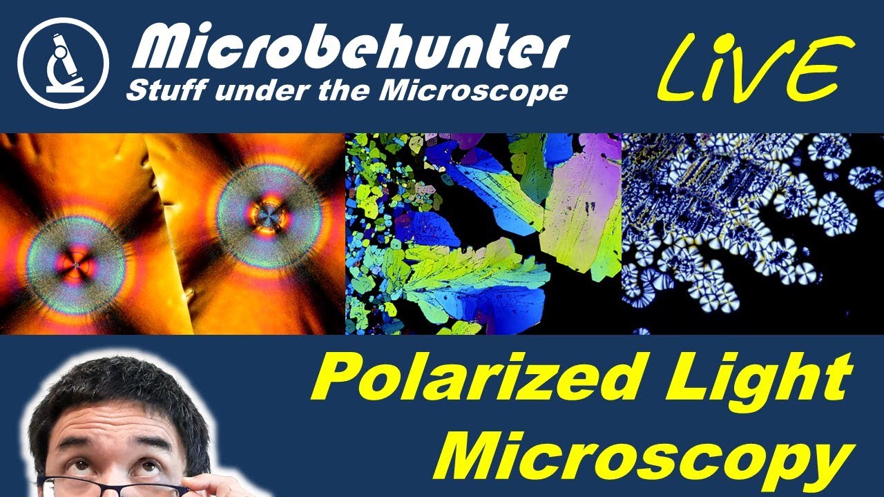 Polarized light microscopy