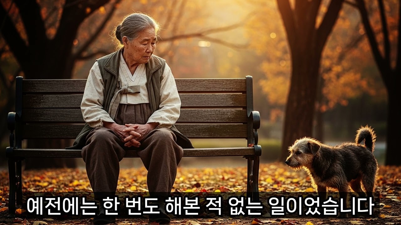 아들 딸에게 버림받은 어느 할머니가 길 강아지 한 마리로 인생이 역전되는데 #시니어사연 #노년의 삶 #지혜 #노후생활 #부모자식갈등 #라디오북 #아들 #딸 #할머니 #길 #강아지
