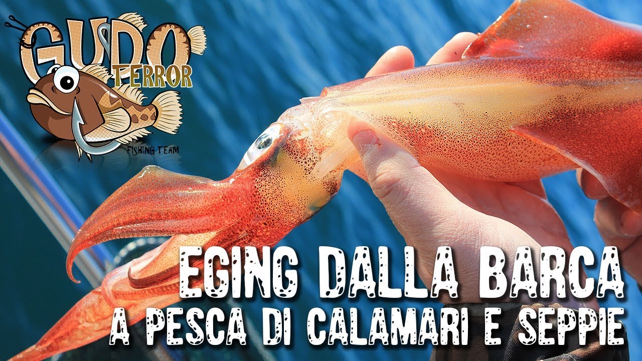 CALAMARI, EGING E TATAKI DALLA BARCA - Gudoterror
