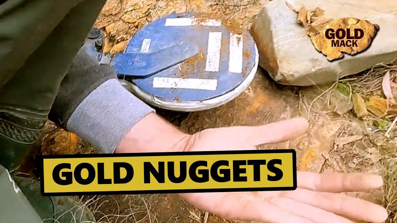 Back Finding Gold Nuggets with the SDC 2300 Gold Detector
