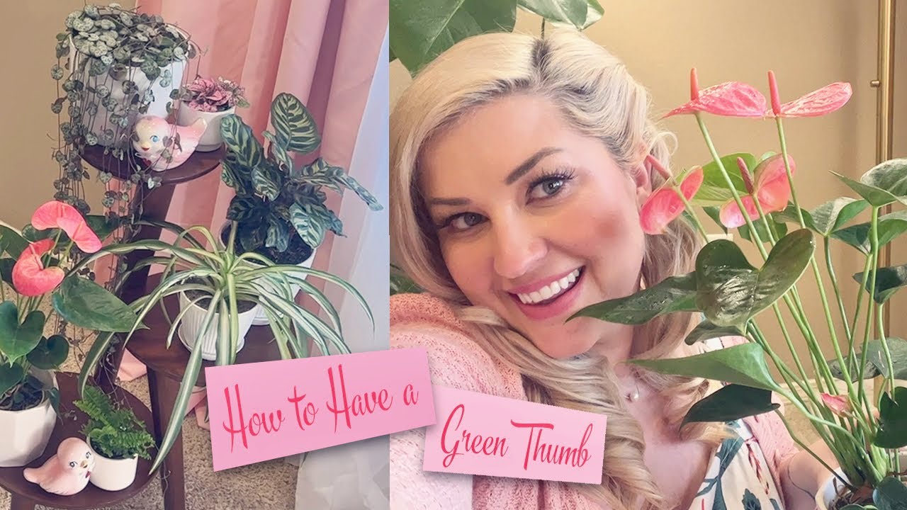 HOUSEPLANTS 101: HOW TO HAVE A GREEN THUMB