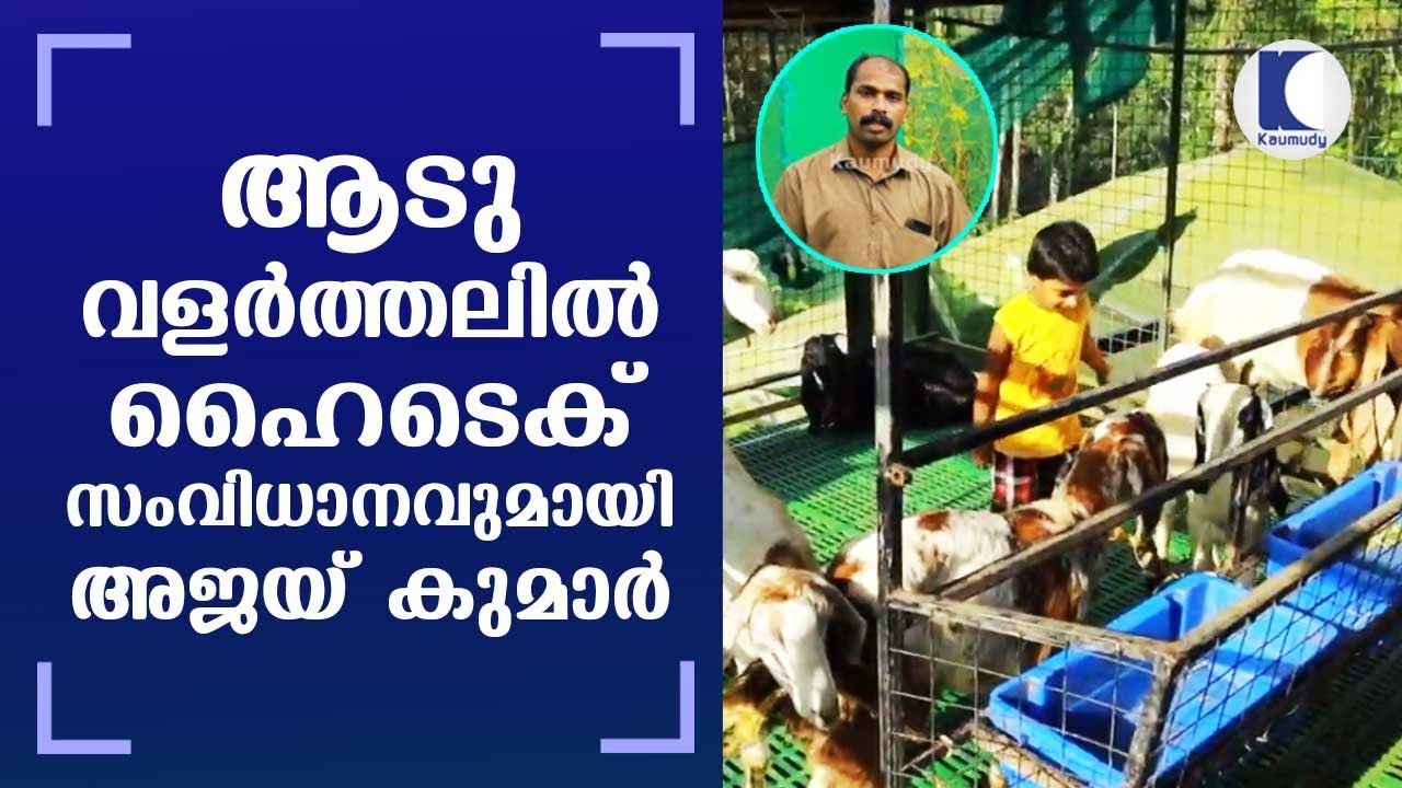 Ajay Kumar with high tech system in goat farming | Kottayam | Kerala