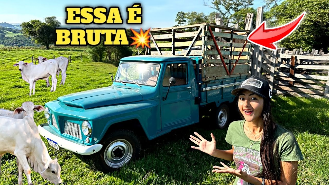 CARREGAMENTO DE BEZERROS NA F-75 PEDACINHO DE CÉU !!!