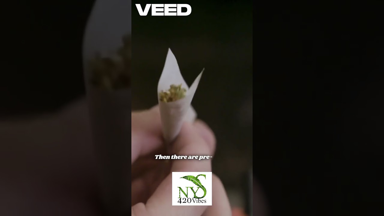 Cannabis 101 ep 6:Flower vs Pre-Rolls | What&rsquo;s the Difference?